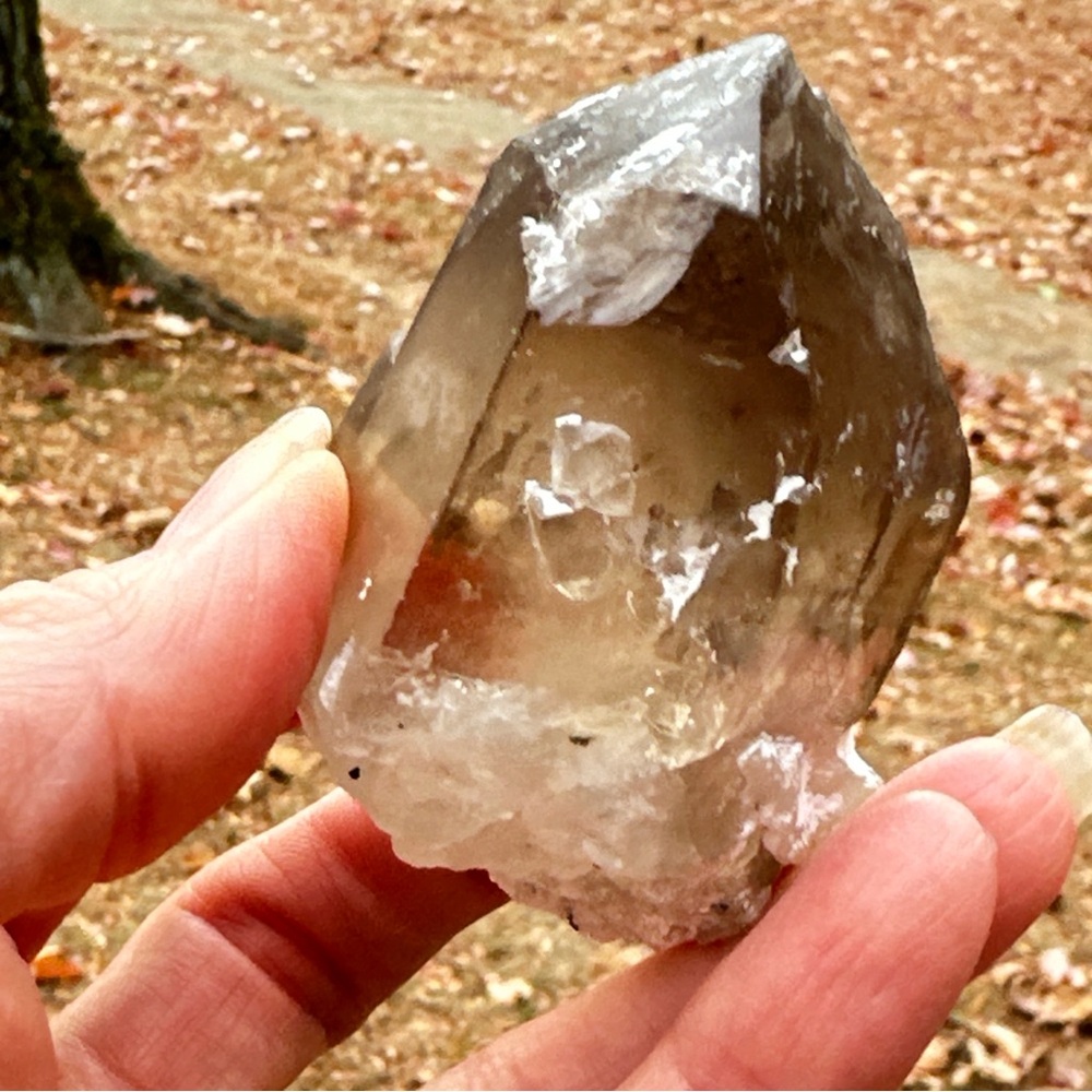 559.90 Carats Smoky Quartz Crystal - Picture 16 of 17